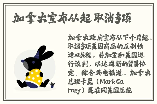 龙腾中文